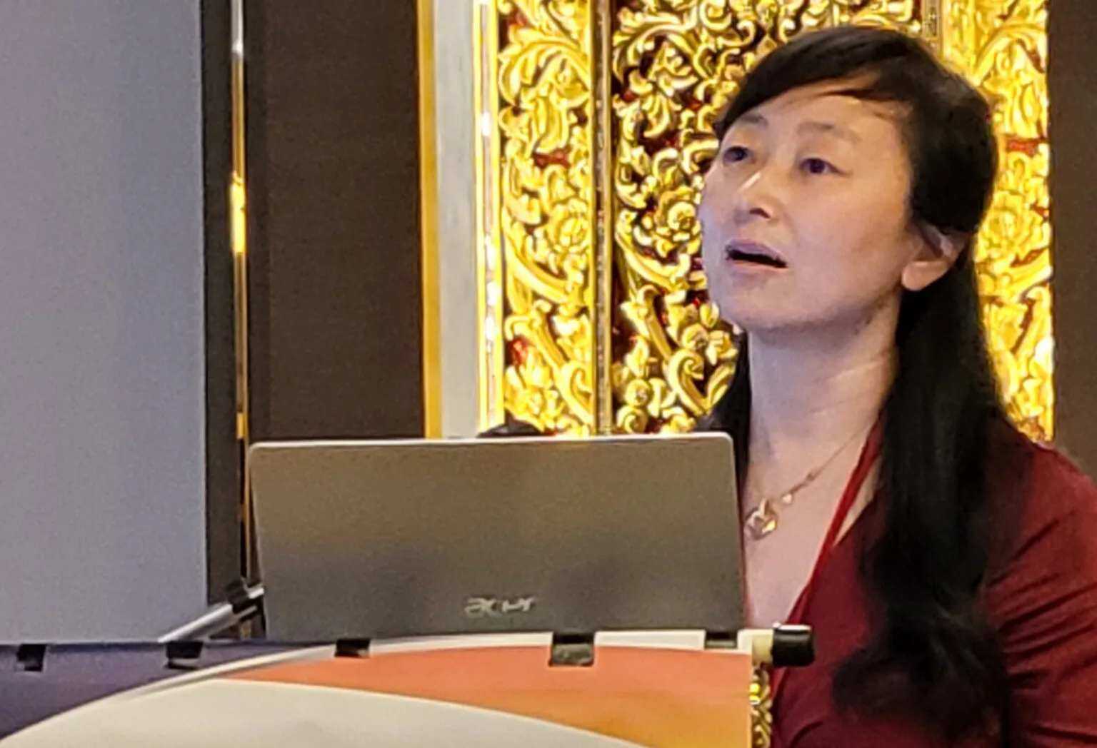 LLL2024 modes-of-presentation-in-conferences